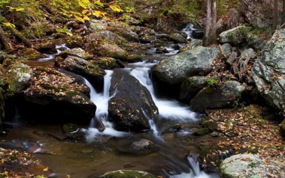 Beautiful fall photo of water rushing over rocks in mountain stream