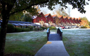 Beautiful morning photo of dew on the grass at Loreley Resort