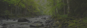 Faded image of beautiful river with moss covered boulders near Helen GA