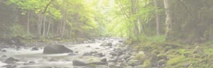 Faded image of mountain stream near Helen Ga